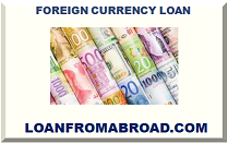 FOREIGN CURRENCY LOAN