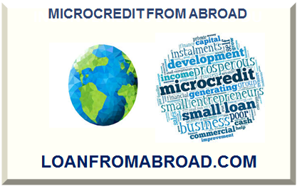 MICROFINANCE FROM ABROAD